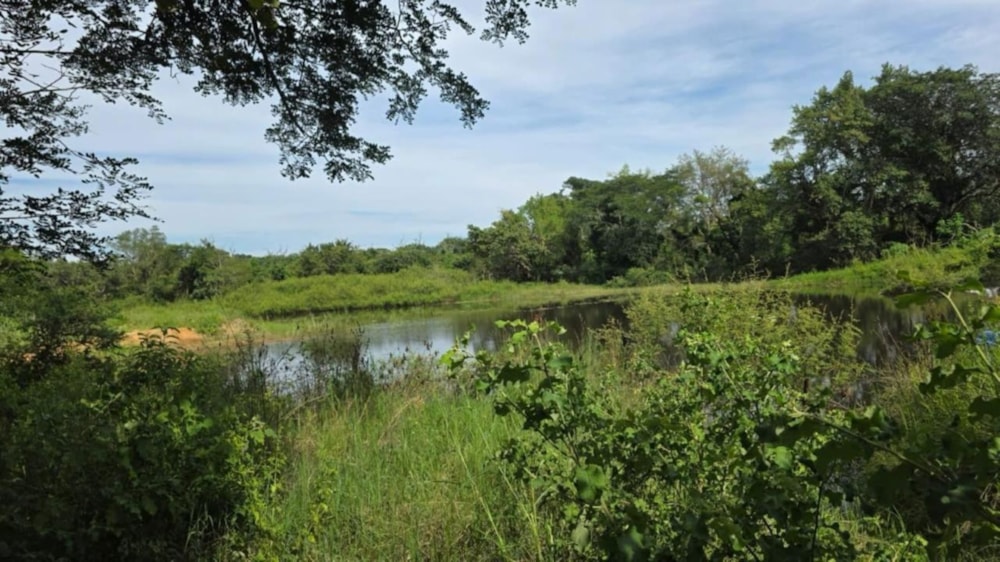 Mixed use farm for sale in Tzaneen, Limpopo Province - 1TA1749627