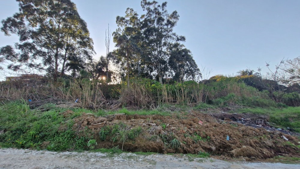 Vacant land for sale in Albersville - 1PSH1749670 Vacant land for sale in Albersville - 1PSH1749670