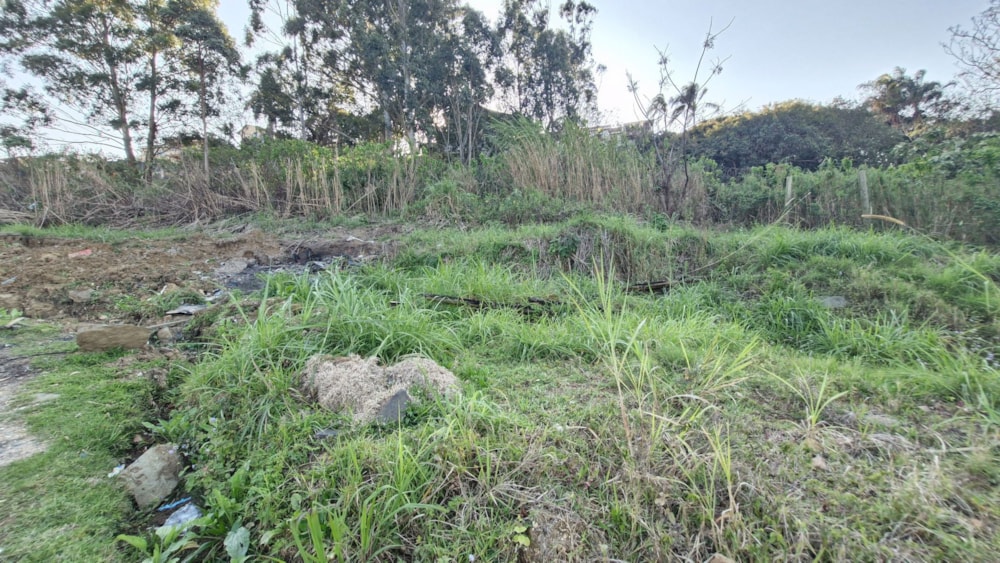 Vacant land for sale in Albersville - 1PSH1749670 Vacant land for sale in Albersville - 1PSH1749670