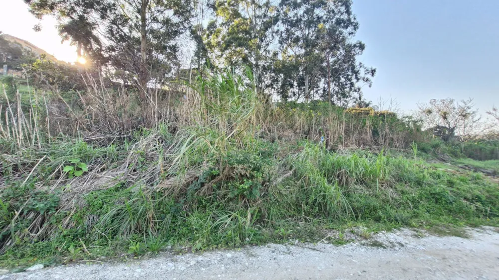 Vacant land for sale in Albersville - 1PSH1749670 Vacant land for sale in Albersville - 1PSH1749670
