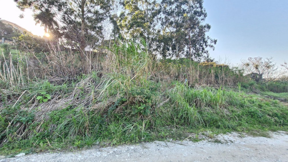 Vacant land for sale in Albersville - 1PSH1749670 Vacant land for sale in Albersville - 1PSH1749670
