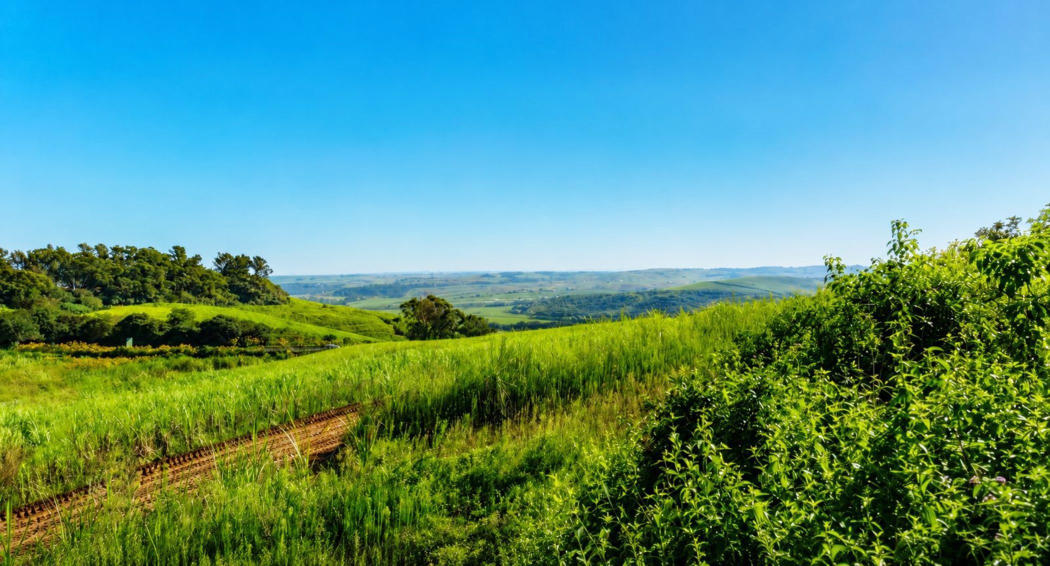 Vacant land for sale in Sibaya - 1ND1750255