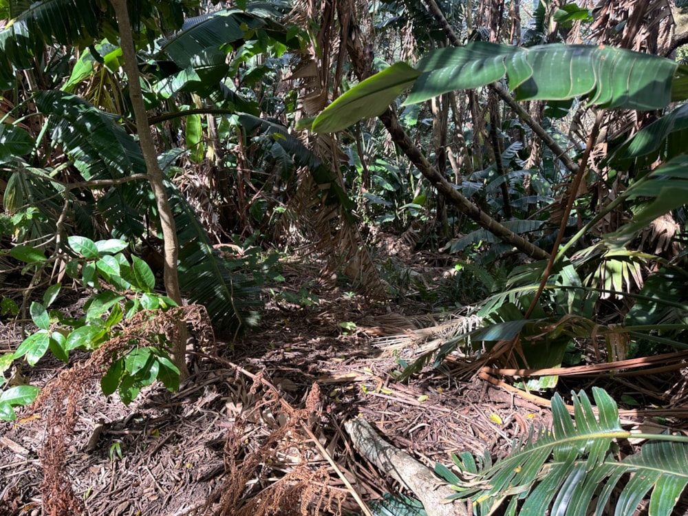 Residential vacant land for sale in Marina Beach - 1PD1749708