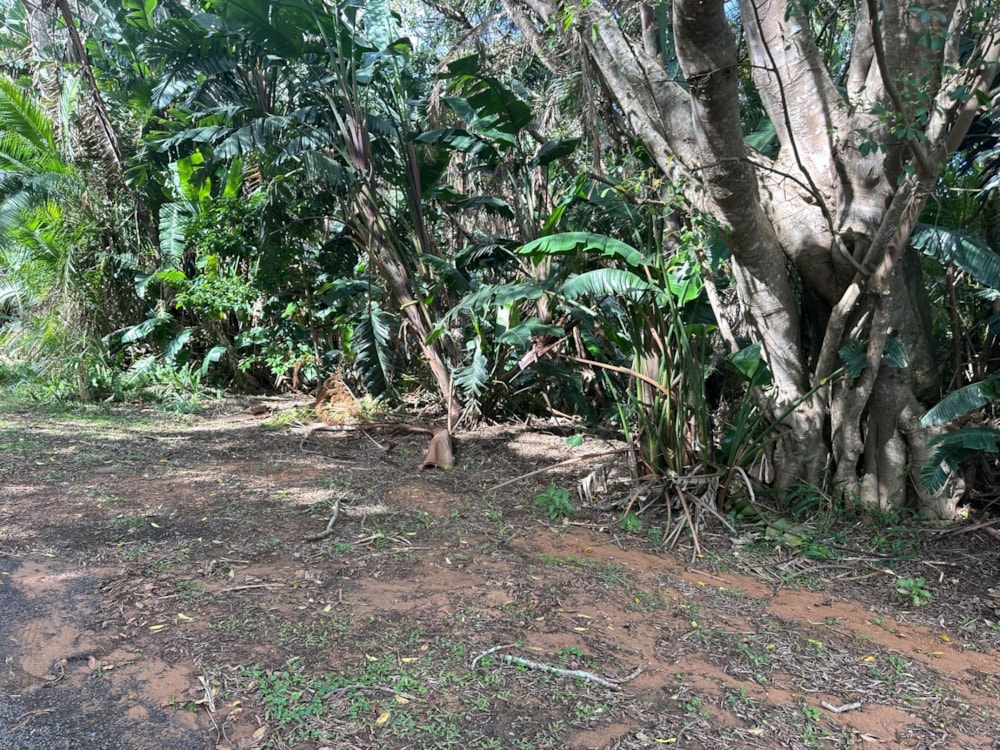 Residential vacant land for sale in Marina Beach - 1PD1749708