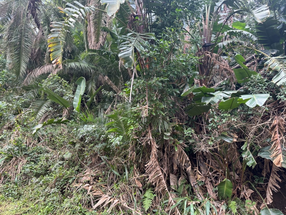 Residential vacant land for sale in Marina Beach - 1PD1749708