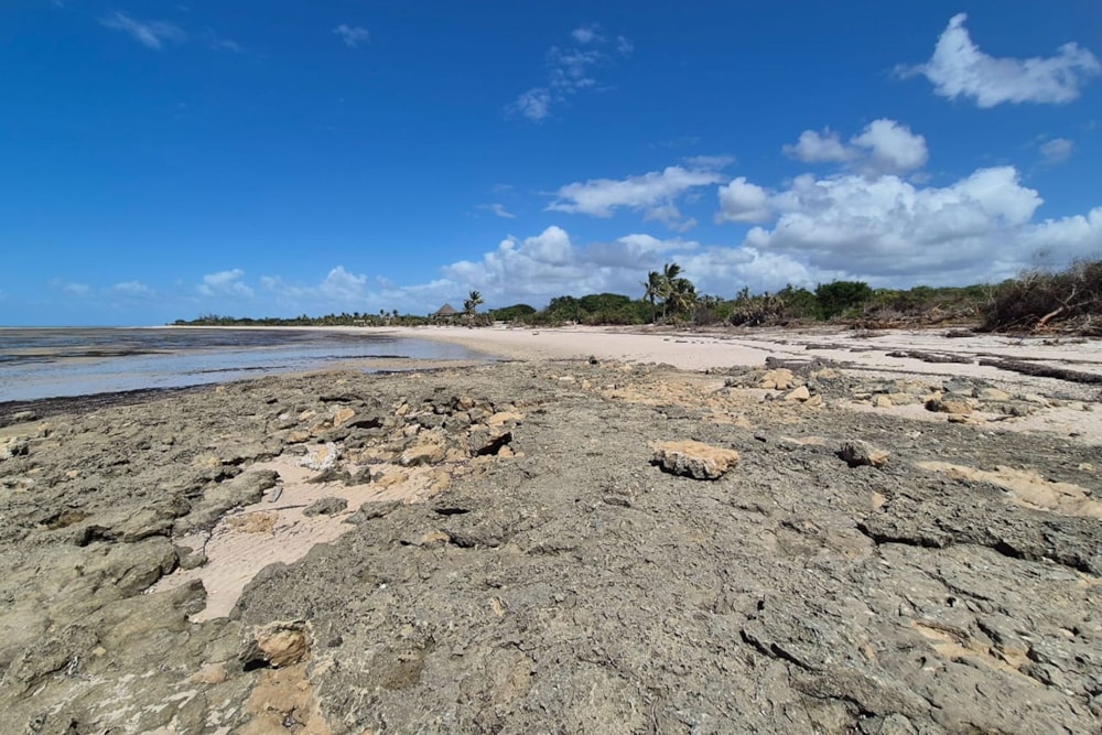 Vacant land for investment in Vilanculos, Mozambique - 3MQ1749711 Vacant land for investment in Vilanculos, Mozambique - 3MQ1749711