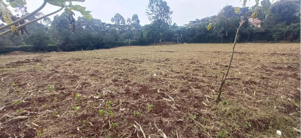 Vacant land for sale in Tigoni, Kenya - 3KE1750595 Vacant land for sale in Tigoni, Kenya - 3KE1750595