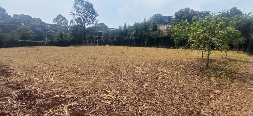 Vacant land for sale in Tigoni, Kenya - 3KE1750595 Vacant land for sale in Tigoni, Kenya - 3KE1750595