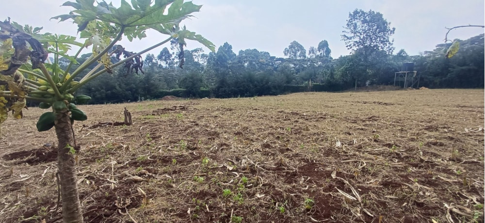 Vacant land for sale in Tigoni, Kenya - 3KE1750595 Vacant land for sale in Tigoni, Kenya - 3KE1750595