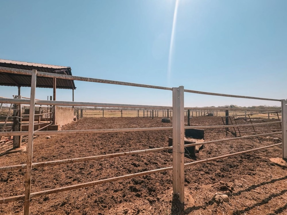 Mixed use farm for sale in Tzaneen, Limpopo Province - 1TA1749889