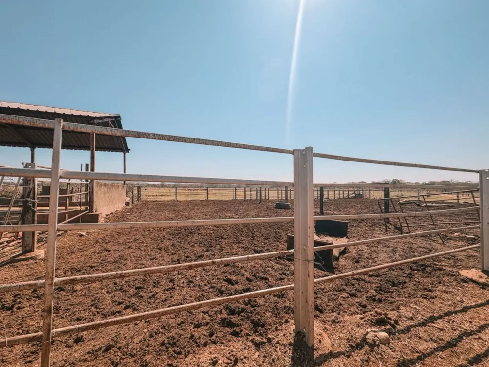 Mixed use farm for sale in Tzaneen, Limpopo Province - 1TA1749889 Mixed use farm for sale in Tzaneen, Limpopo Province - 1TA1749889