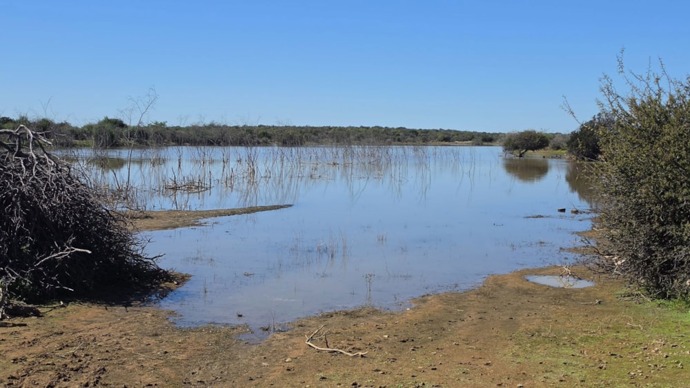 Livestock farm for sale in Jansenville - 1KK1749902 Livestock farm for sale in Jansenville - 1KK1749902