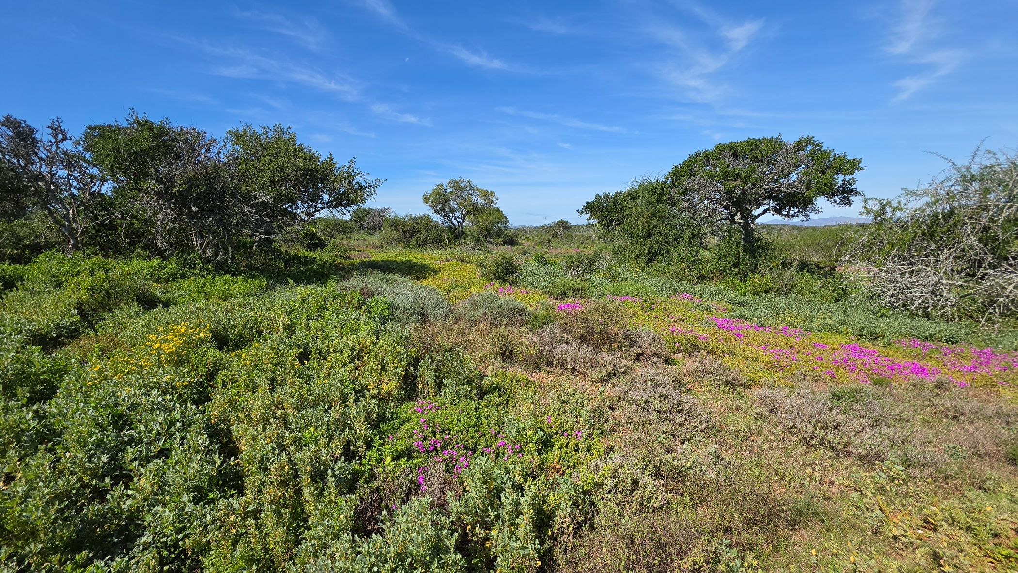 Game farm for sale in Steytlerville - 1KK1750040