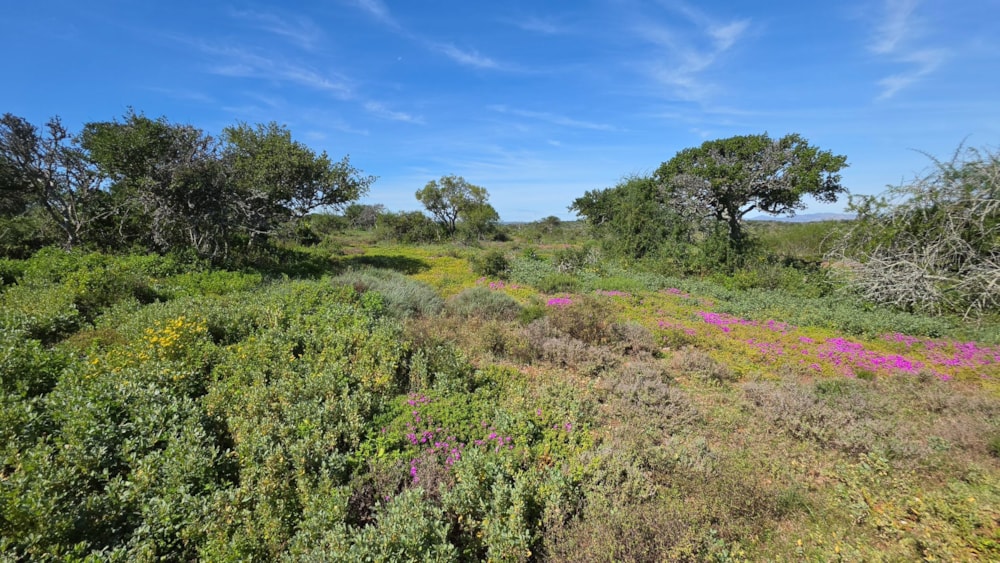 Game farm for sale in Steytlerville - 1KK1750040 Game farm for sale in Steytlerville - 1KK1750040