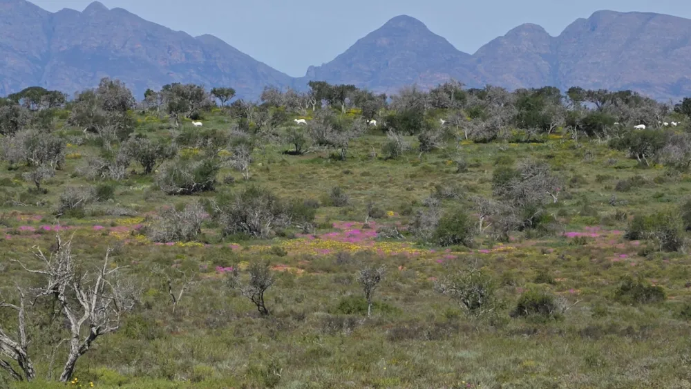 Game farm for sale in Steytlerville - 1KK1750040