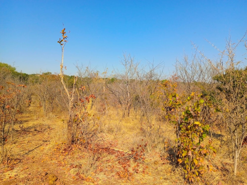 Vacant land for sale in Victoria Falls, Zimbabwe - 3ZB1750111 Vacant land for sale in Victoria Falls, Zimbabwe - 3ZB1750111