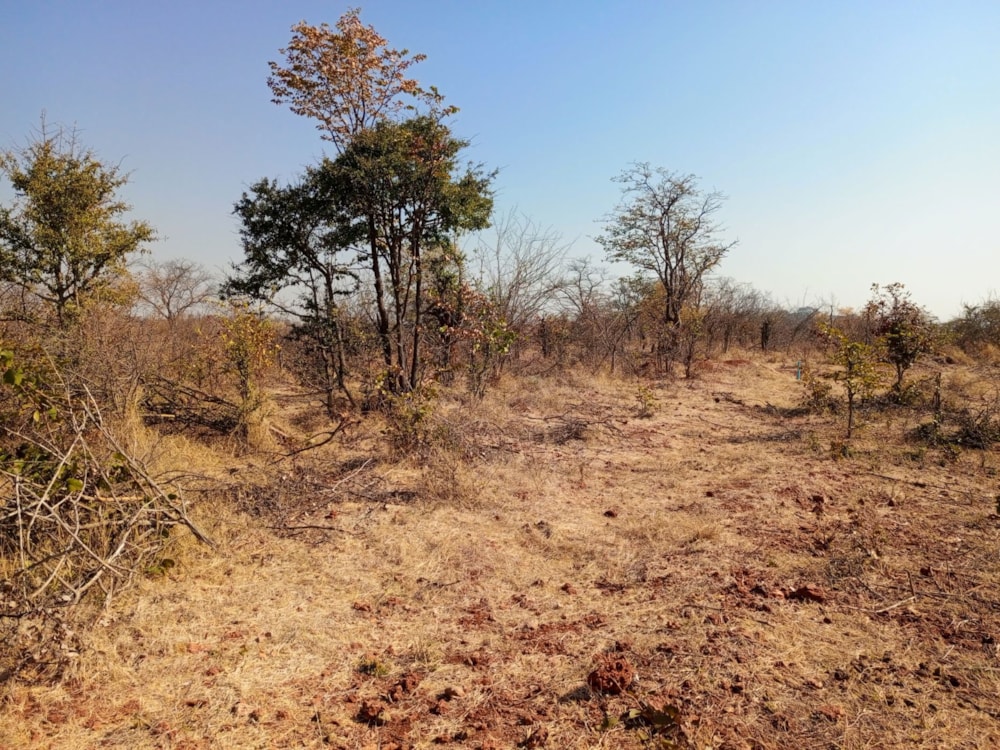 Vacant land for sale in Victoria Falls, Zimbabwe - 3ZB1750111 Vacant land for sale in Victoria Falls, Zimbabwe - 3ZB1750111