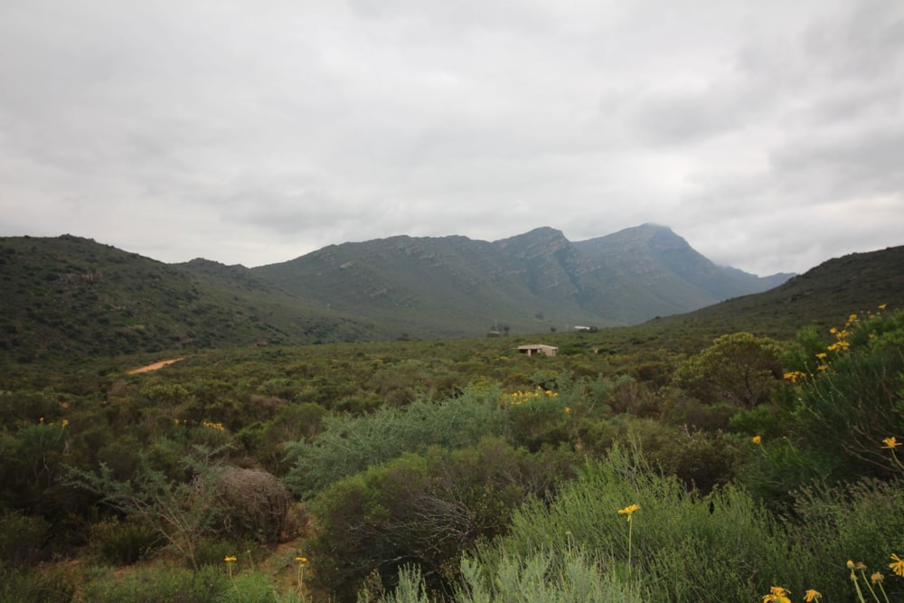 Mixed use farm for sale in Piketberg - LA1750036