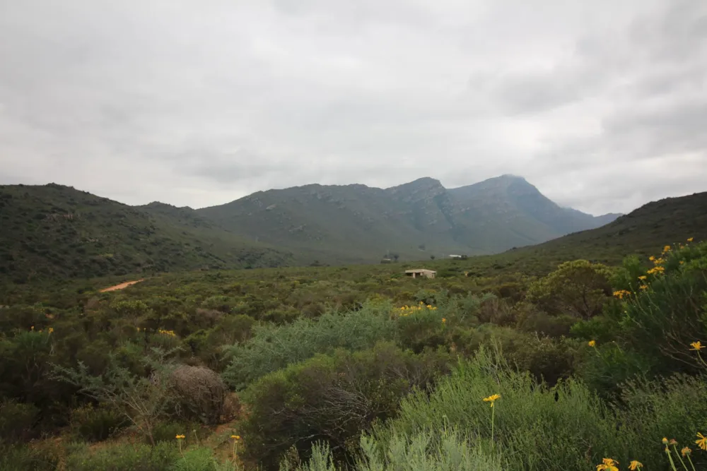 Mixed use farm for sale in Piketberg - LA1750036 Mixed use farm for sale in Piketberg - LA1750036