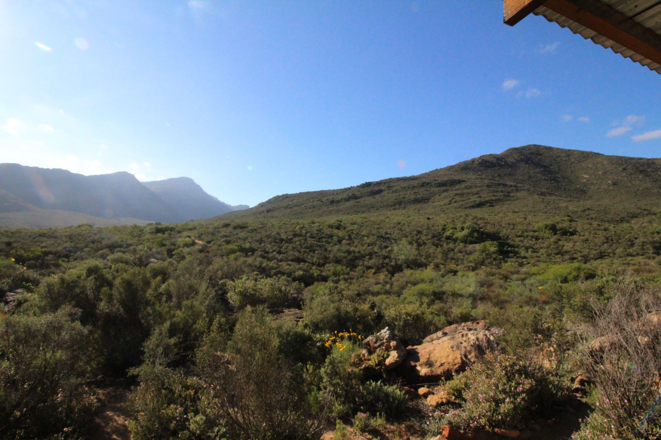 Mixed use farm for sale in Piketberg - LA1750036