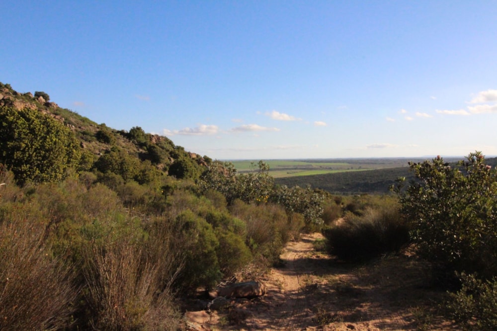 Mixed use farm for sale in Piketberg - LA1750036