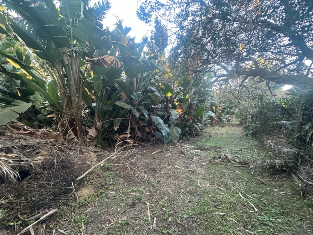 Residential vacant land for sale in Palm Beach - 1PD1750164