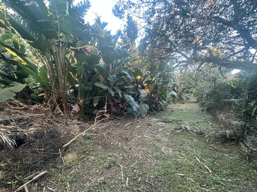 Residential vacant land for sale in Palm Beach - 1PD1750164 Residential vacant land for sale in Palm Beach - 1PD1750164