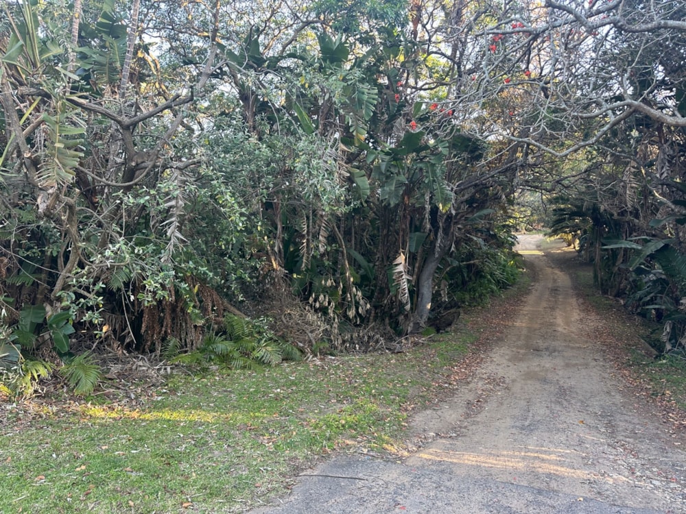 Residential vacant land for sale in Palm Beach - 1PD1750164