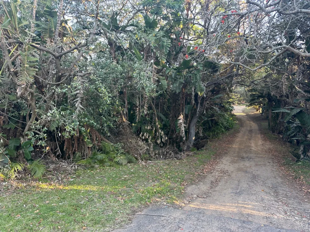 Residential vacant land for sale in Palm Beach - 1PD1750164 Residential vacant land for sale in Palm Beach - 1PD1750164