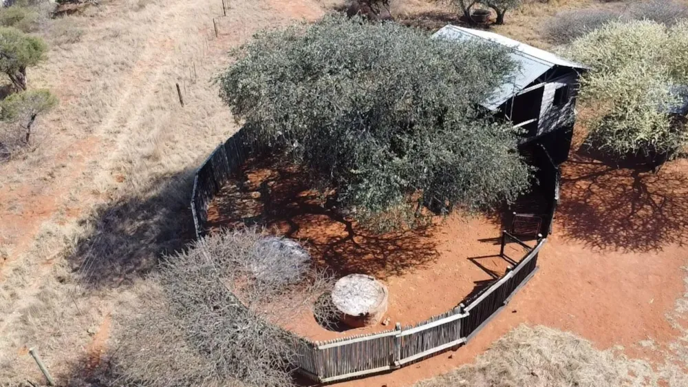 Farm vacant land for sale in Makhado (Louis Trichardt) - 1TA1750259