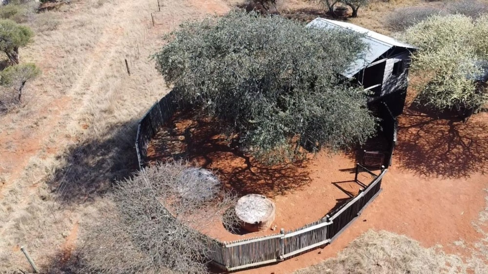 Farm vacant land for sale in Makhado (Louis Trichardt) - 1TA1750259 Farm vacant land for sale in Makhado (Louis Trichardt) - 1TA1750259