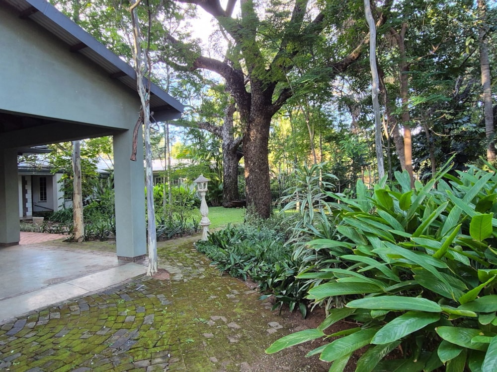 House to rent in Onverwacht, Limpopo Province - 1ER1750475 House to rent in Onverwacht, Limpopo Province - 1ER1750475