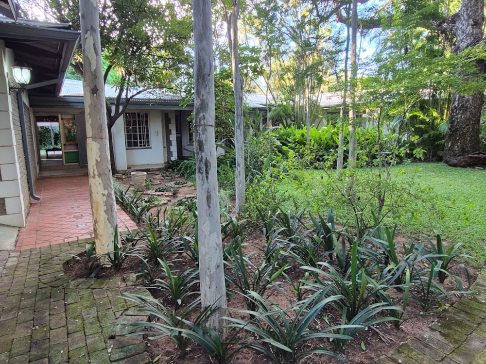 House to rent in Onverwacht, Limpopo Province - 1ER1750475 House to rent in Onverwacht, Limpopo Province - 1ER1750475