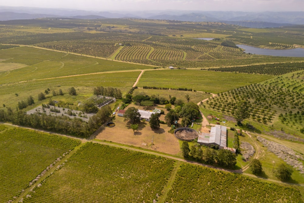 Nut farm for sale in Oribi Flats - 1PSH1750721
