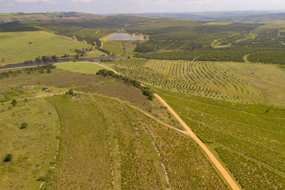 Nut farm for sale in Oribi Flats - 1PSH1750721