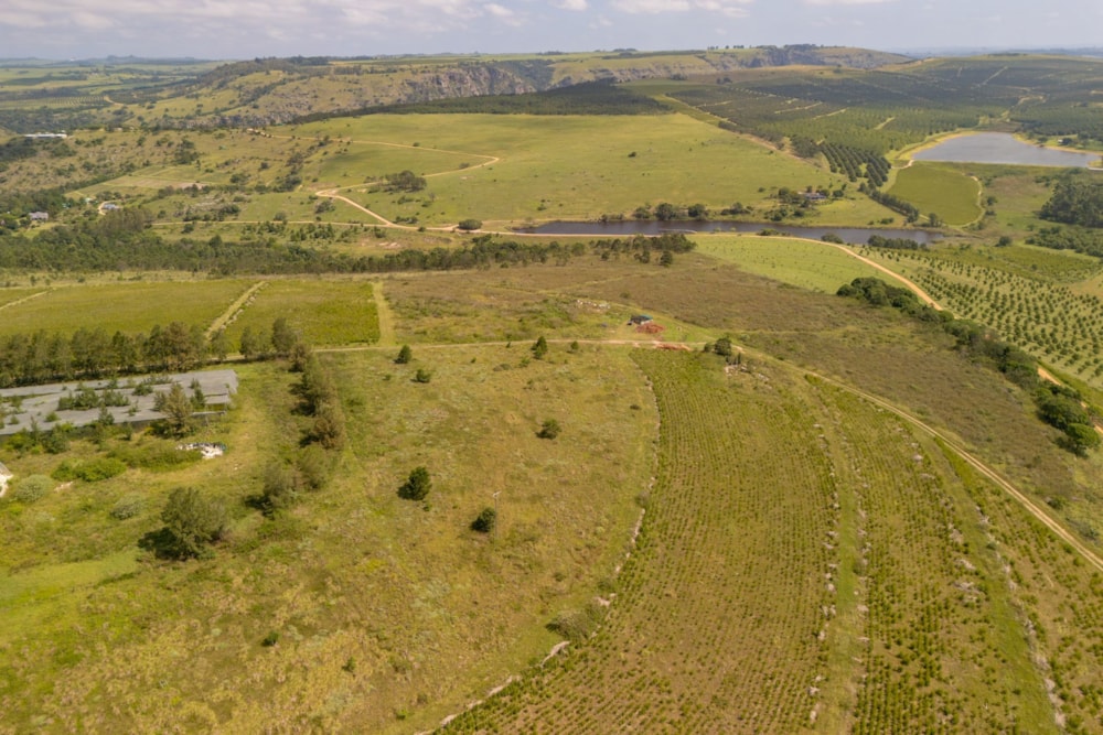 Nut farm for sale in Oribi Flats - 1PSH1750721
