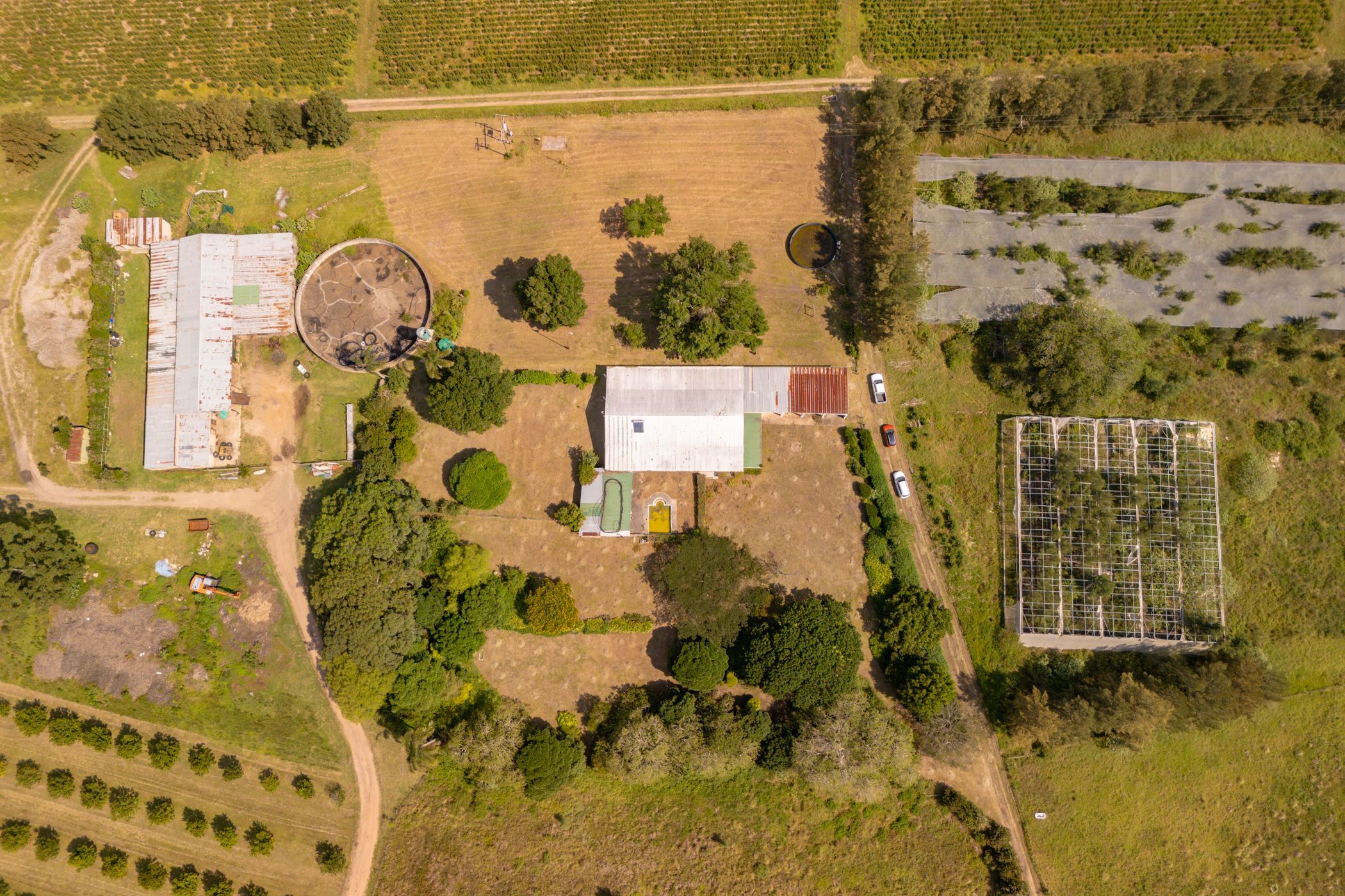 Nut farm for sale in Oribi Flats - 1PSH1750721