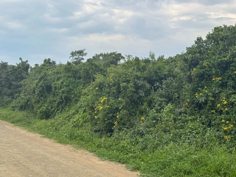 Vacant land for sale in Boknesstrand - 1KO1753399