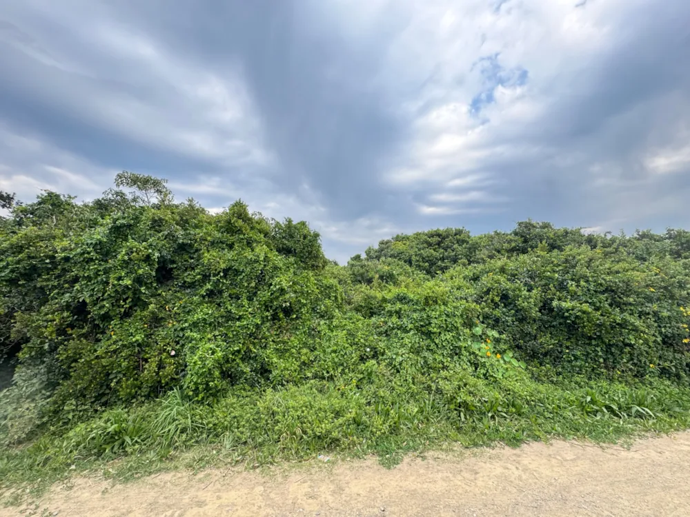 Vacant land for sale in Boknesstrand - 1KO1753399