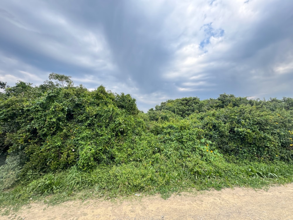 Vacant land for sale in Boknesstrand - 1KO1753399 Vacant land for sale in Boknesstrand - 1KO1753399