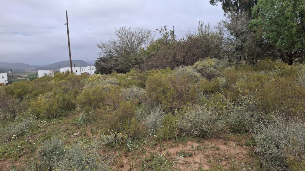 Residential vacant land for sale in McGregor - ROB1750884 Residential vacant land for sale in McGregor - ROB1750884