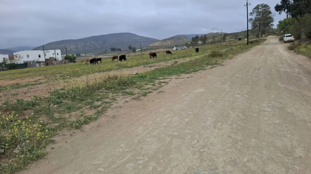 Residential vacant land for sale in McGregor - ROB1750884