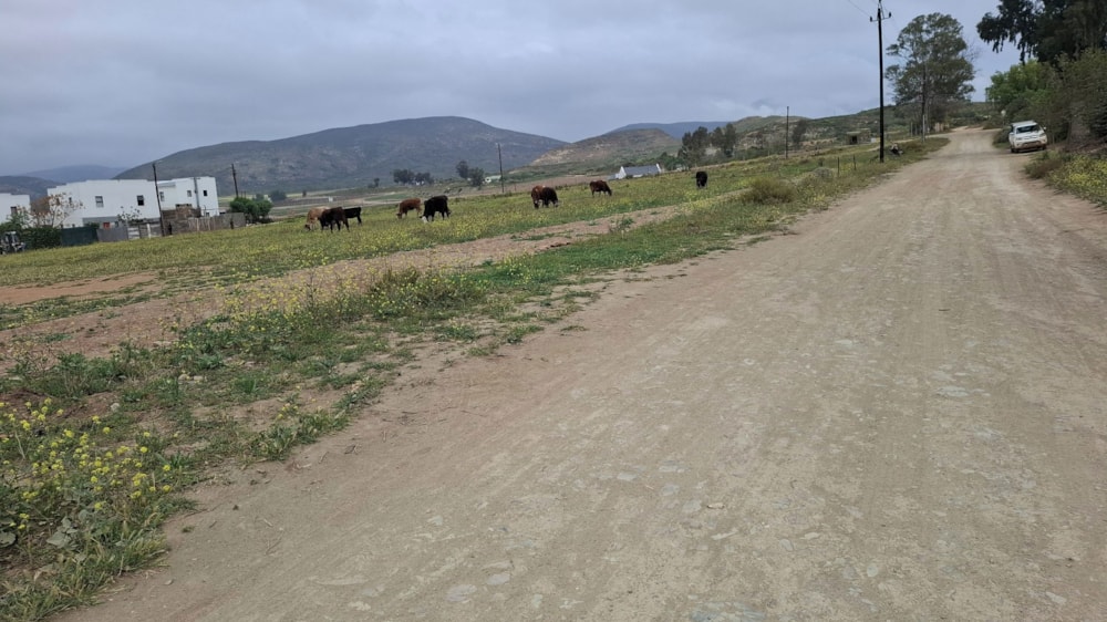 Residential vacant land for sale in McGregor - ROB1750884 Residential vacant land for sale in McGregor - ROB1750884