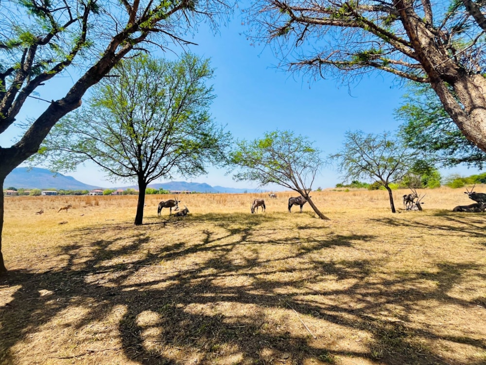 Vacant land for sale in Westlake, Hartbeespoort - 1HR1682565 Vacant land for sale in Westlake, Hartbeespoort - 1HR1682565