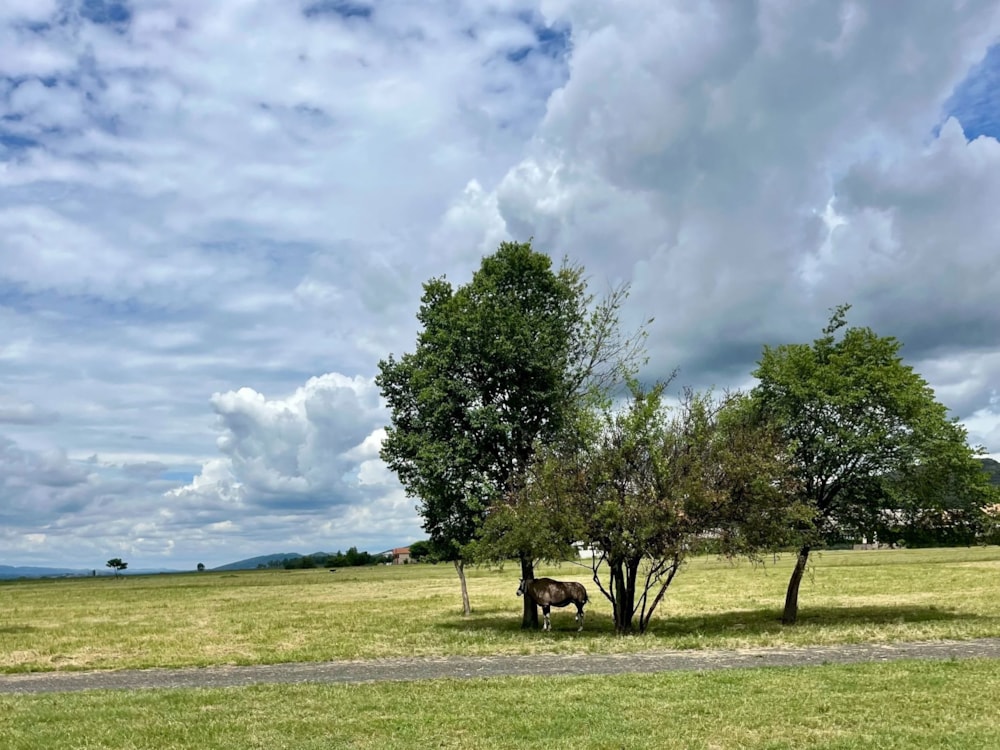 Vacant land for sale in Westlake, Hartbeespoort - 1HR1682565 Vacant land for sale in Westlake, Hartbeespoort - 1HR1682565