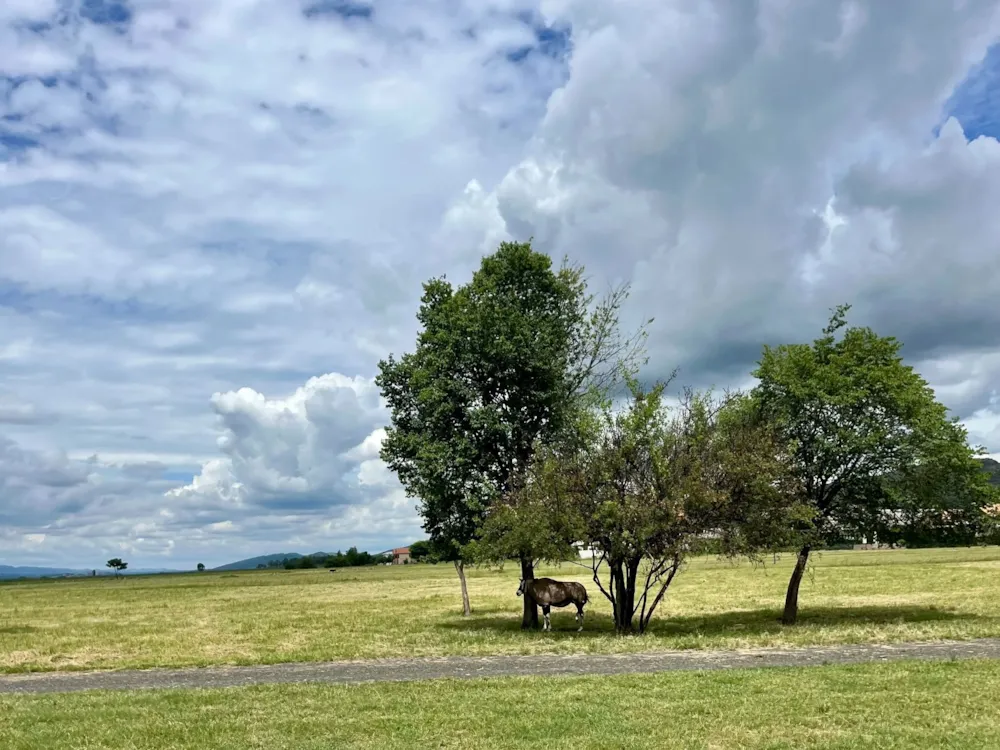 Vacant land for sale in Westlake, Hartbeespoort - 1HR1682565 Vacant land for sale in Westlake, Hartbeespoort - 1HR1682565