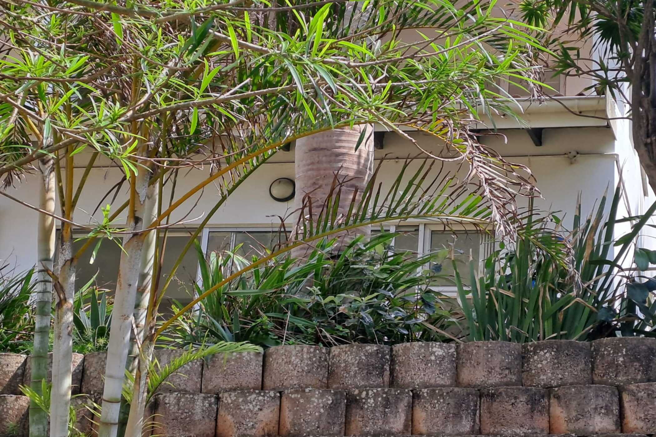 Apartment to rent in Amanzimtoti - 1WB1753303