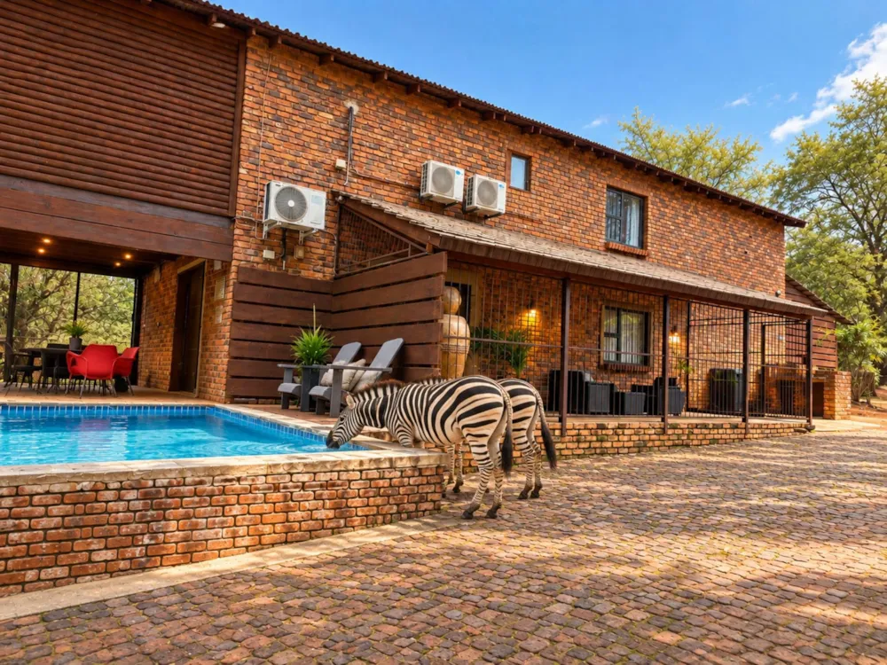 House to rent in Marloth Park - 1NK1579584 House to rent in Marloth Park - 1NK1579584
