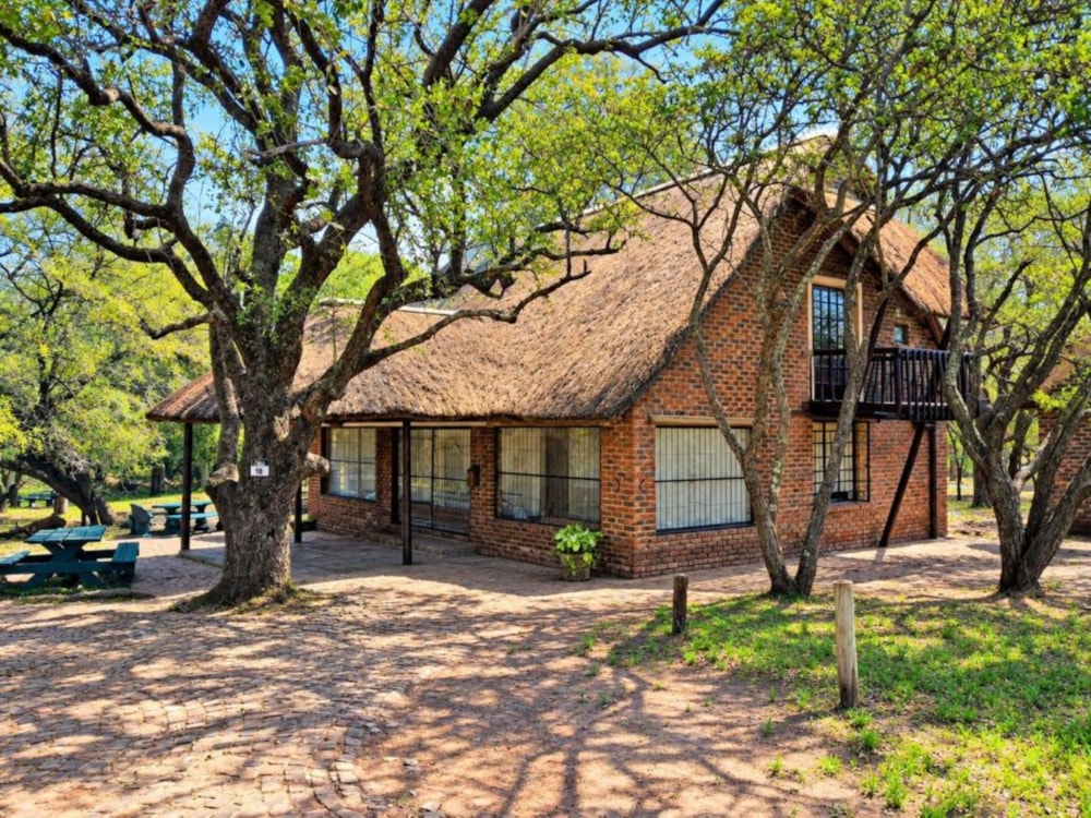 House to rent in Marloth Park - 1NK1753234 House to rent in Marloth Park - 1NK1753234