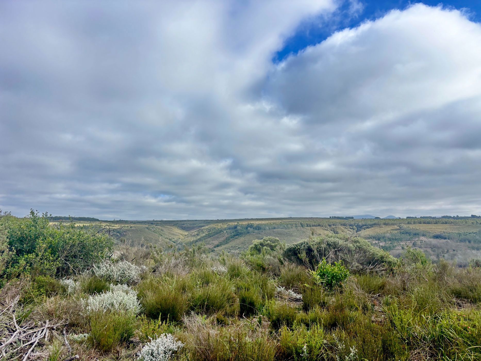 Residential vacant land for sale in Gondwana Game Reserve - 1MB1749972